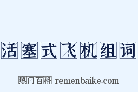 活塞式飞机组词是什么意思的图片